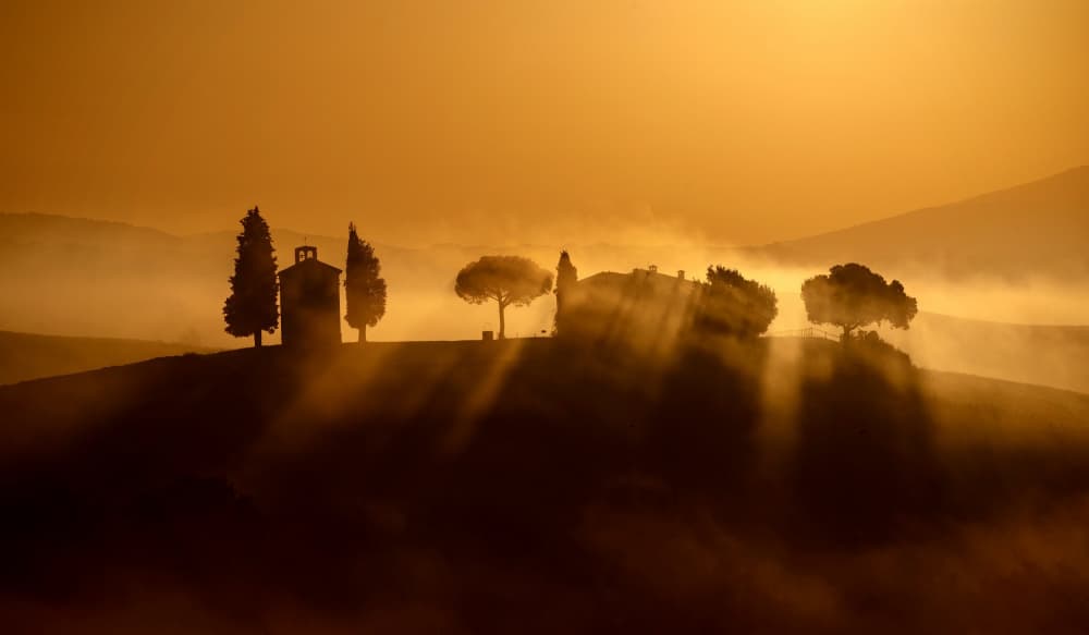 Golden Morning Mist by Liz Fang — canvas wall art