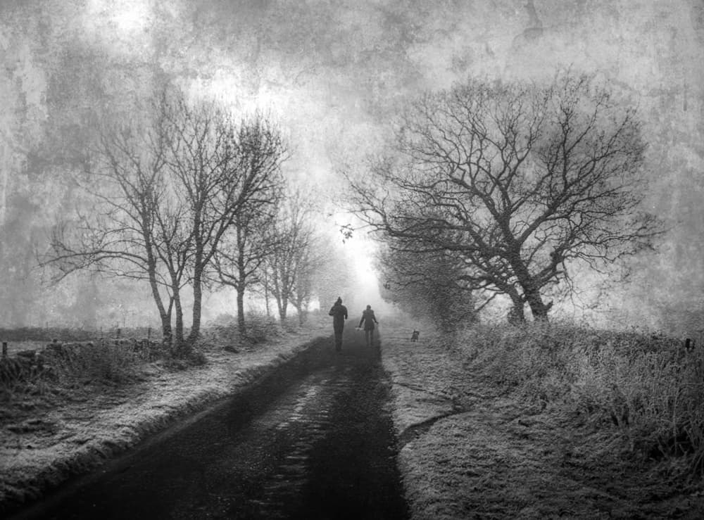 Misty Winter Path by Amer Jassim — canvas wall art