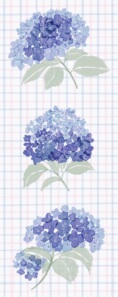 Watercolor Hydrangea Blooms by Radhika Modi — canvas wall art
