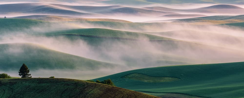 Misty Rolling Hills by 李从军 / Austin Li — canvas wall art