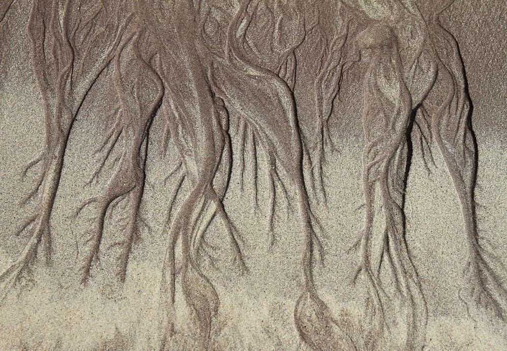 Natural Sand Lines by Bror Johansson — canvas wall art