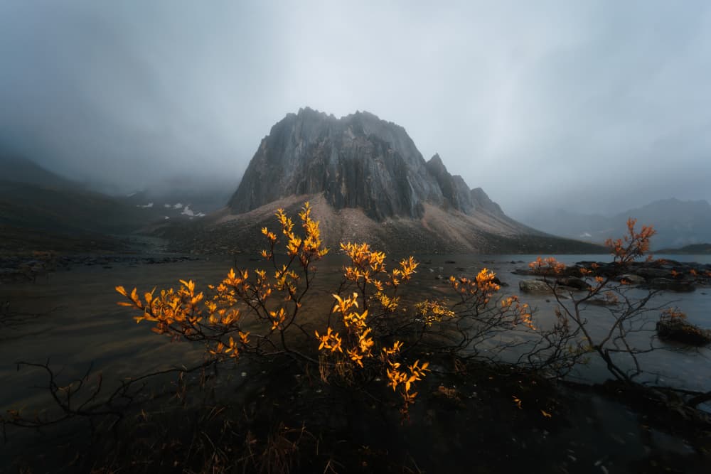 Golden Autumn Mountain by Junbo Liang — canvas wall art