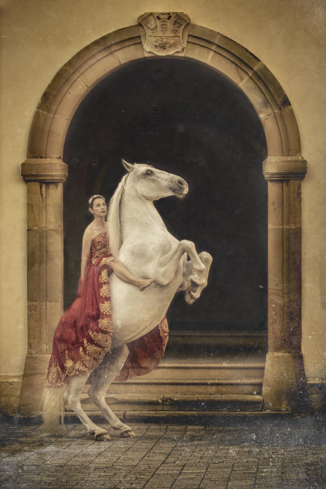Regal Woman and White Horse by Katarzyna Olczak — canvas wall art