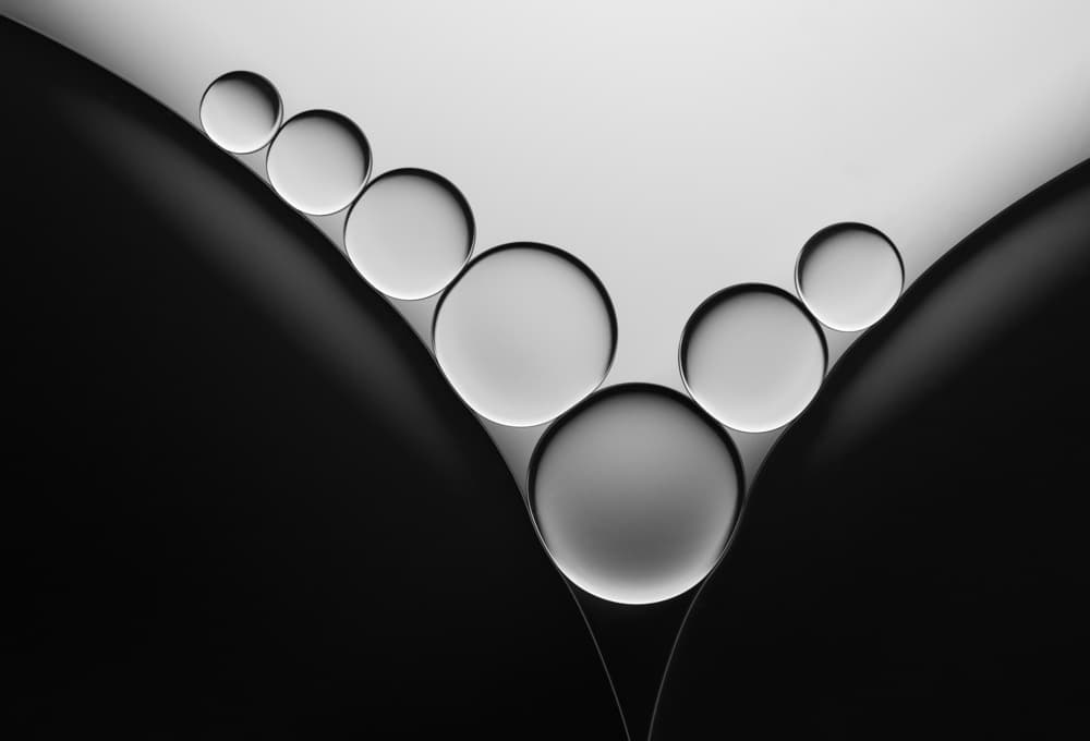Fluid Curves Composition by Jacqueline Hammer — canvas wall art