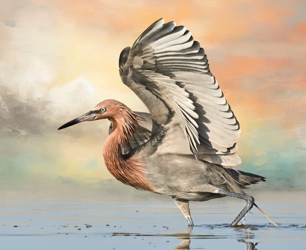 Graceful Egret Wings Spread by Jane Lyons — canvas wall art