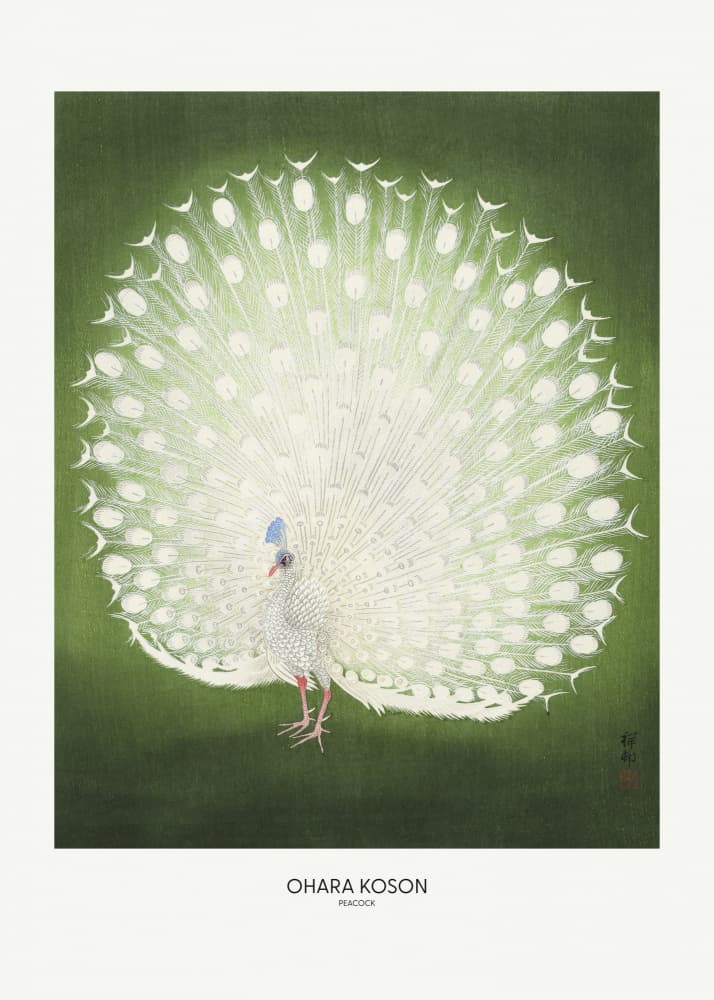 Peacock - Wide by Ohara Koson — canvas wall art