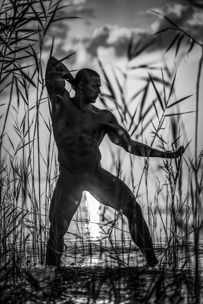 Dynamic Pose Reeds Sunset by James Graf — canvas wall art