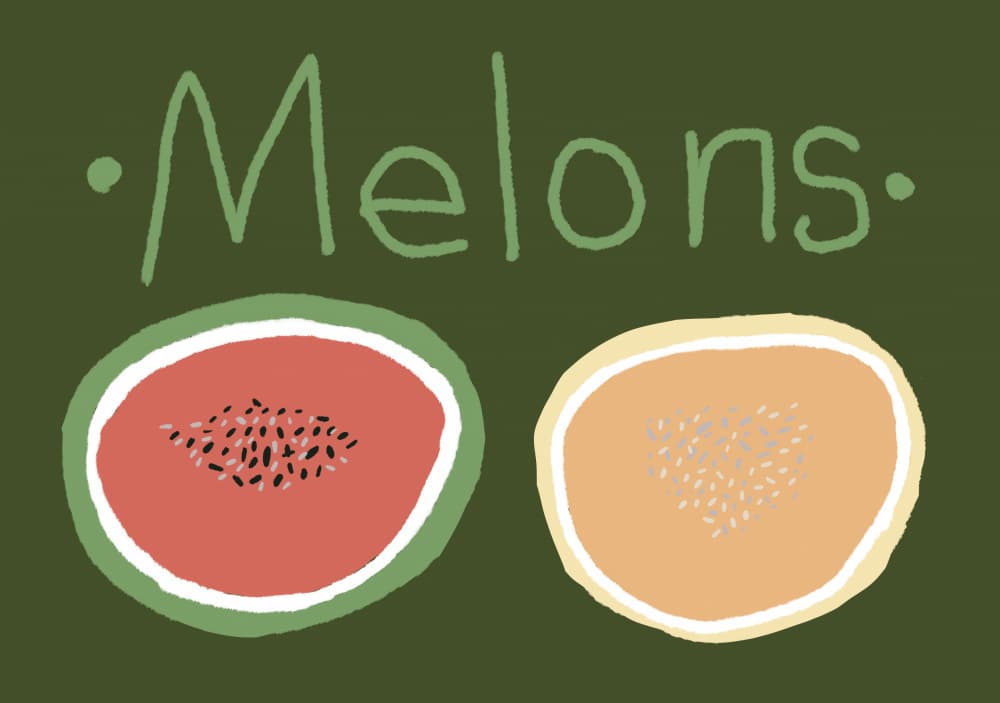 Sweet Summer Melons by Sharyn Bursic — canvas wall art