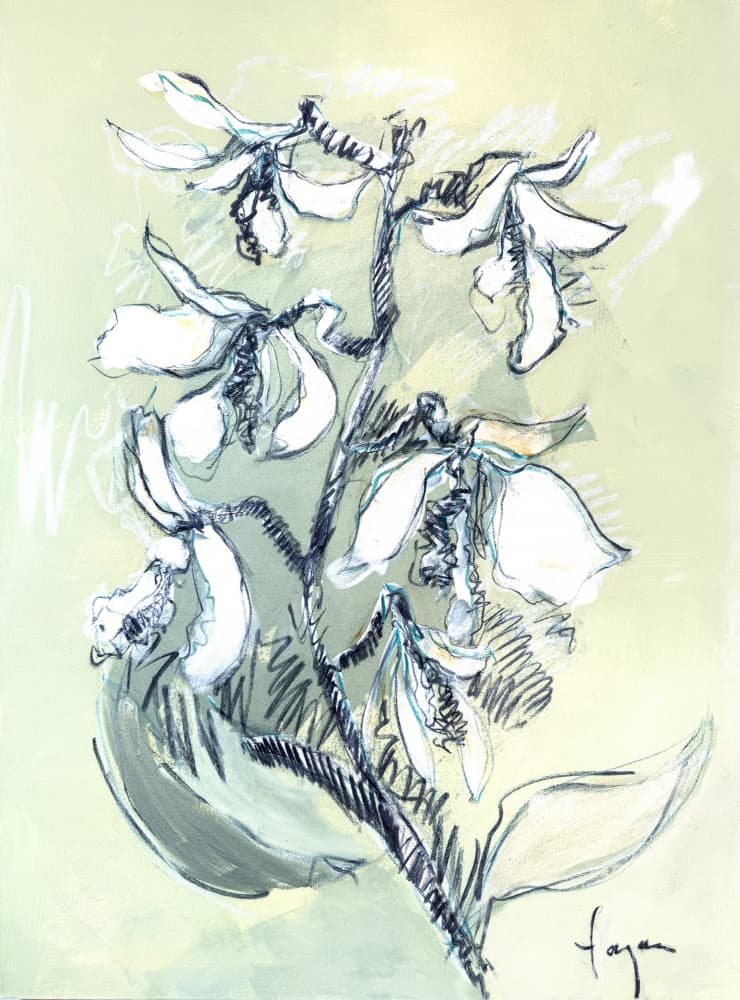 White Floral Sketch by Dorothy Fagan — canvas wall art