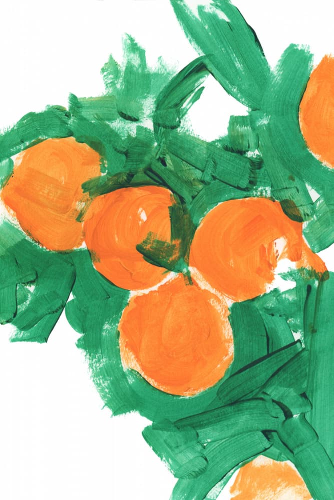 Vibrant Citrus Harvest by cartissi — canvas wall art