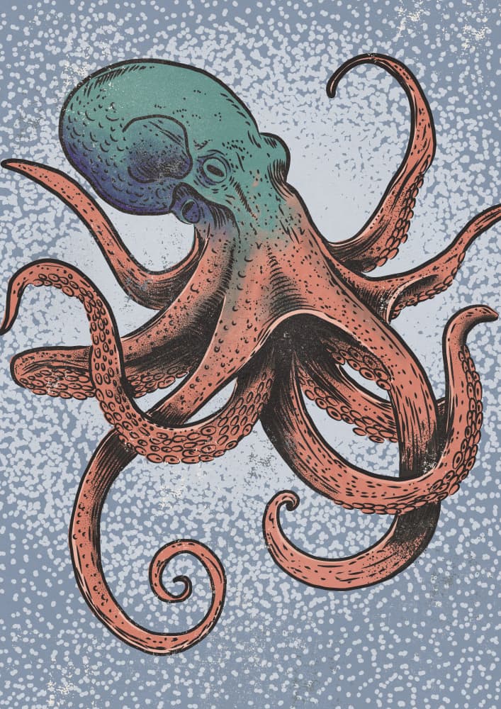Vintage Ocean Octopus by Nicholas — canvas wall art