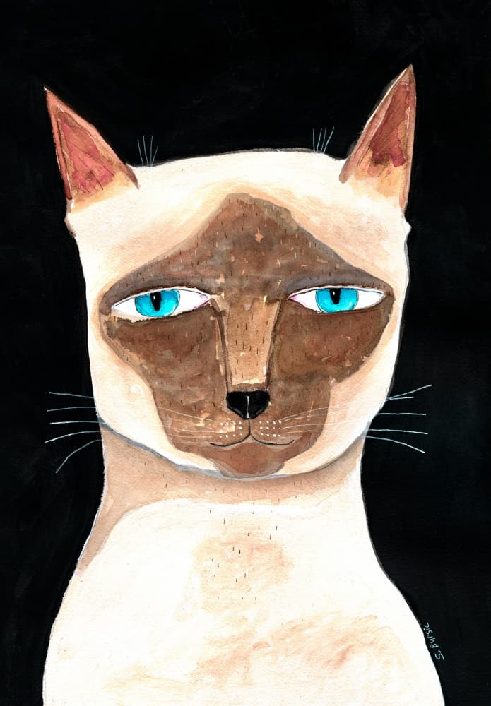 Blue Eyed Siamese Cat by Sharyn Bursic — canvas wall art