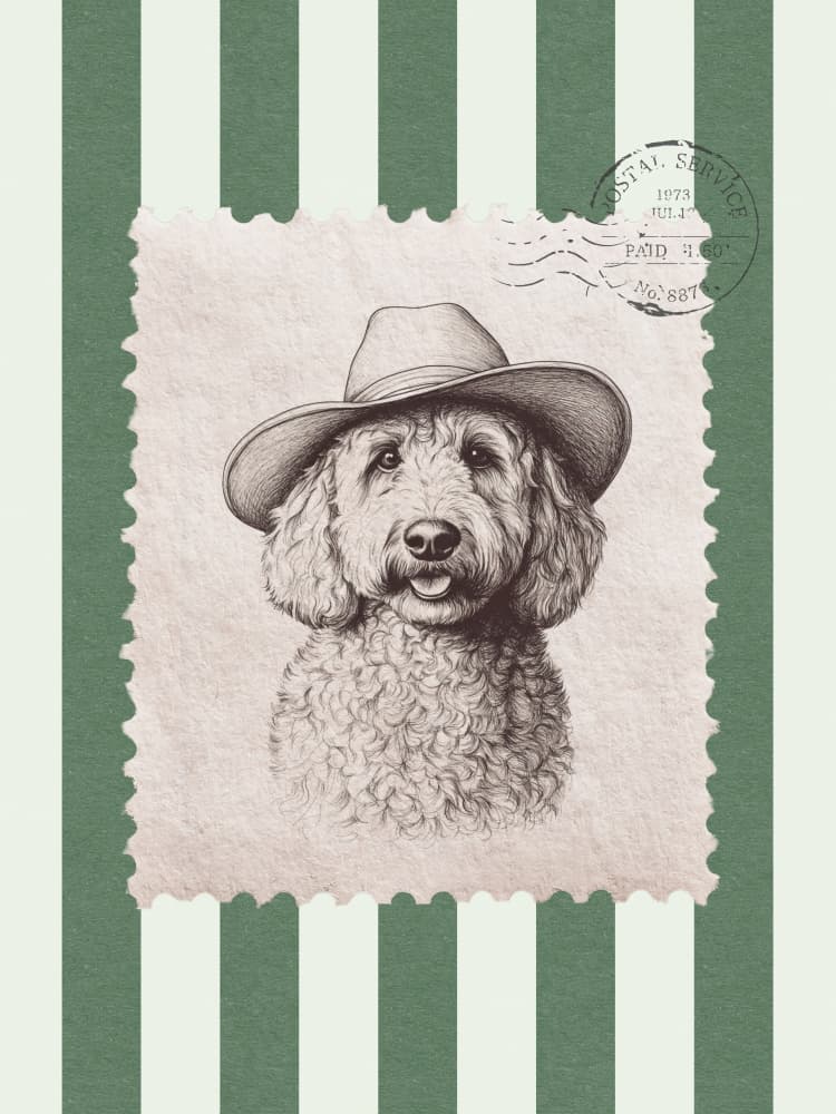Cowboy Hat Doodle by Jolly and Dash — canvas wall art