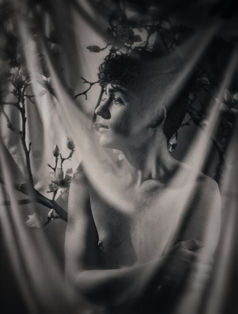 Ethereal Blossom Gaze by mario lotzin / uwe friessner — canvas wall art