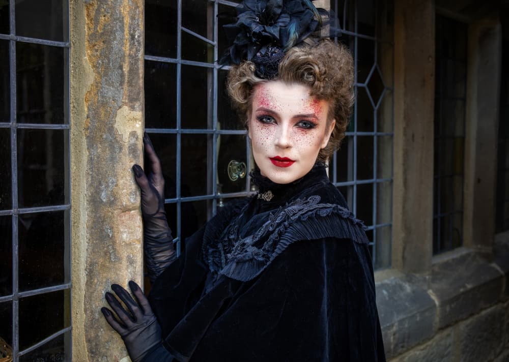 Victorian Gothic Beauty by Daniel Springgay — canvas wall art