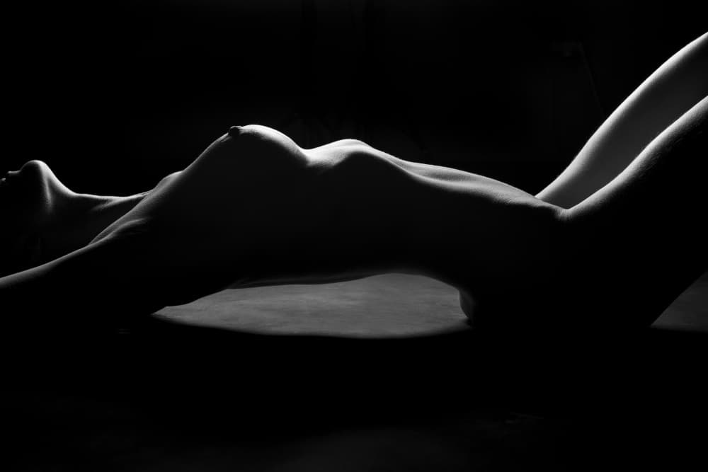 Elegant Female Silhouette by Jan Blasko — canvas wall art