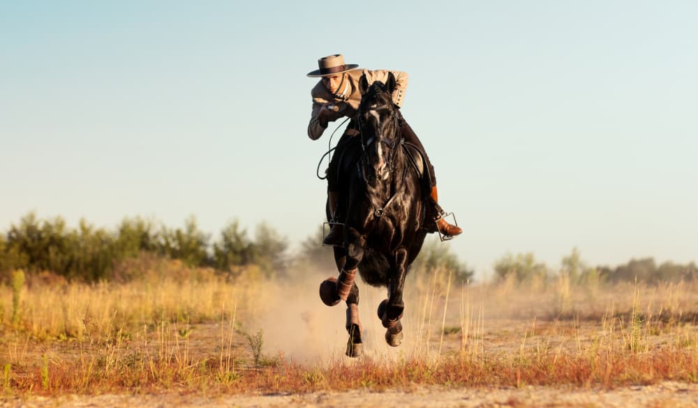 Wild Horse Rearing by Celine Weerink — canvas wall art