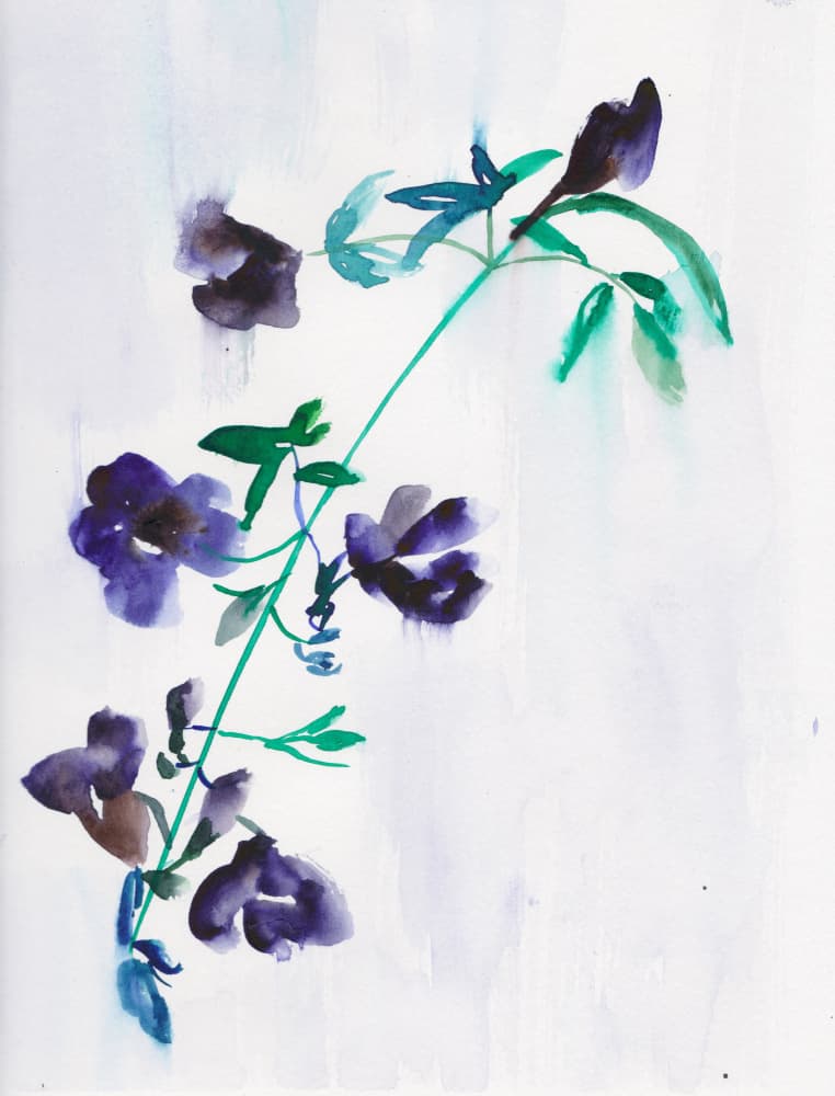 Purple Watercolor Blooms by Christine Lindstrom — canvas wall art