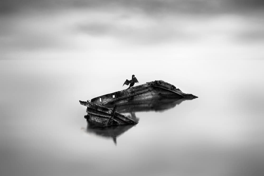 Solitary Wreck And Bird by George Digalakis — canvas wall art