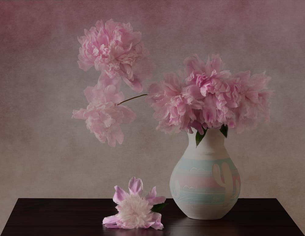 Pink Peonies Still Life by Darlene Hewson — canvas wall art