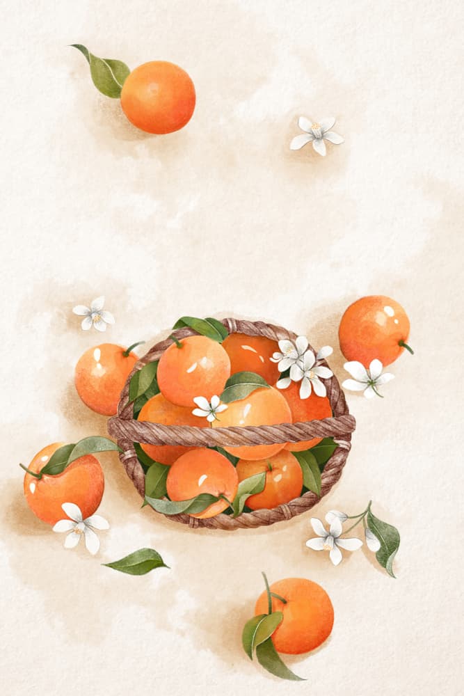 Sweet Orange Blossoms by Xuan Thai — canvas wall art