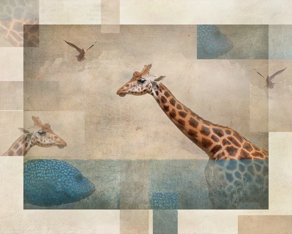 Surreal Giraffe Dream by Ellen van Deelen — canvas wall art