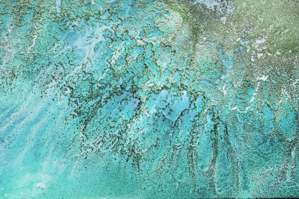Great Barrier Reef - Coral Kingdom by Petra Meikle de Vlas — canvas wall art