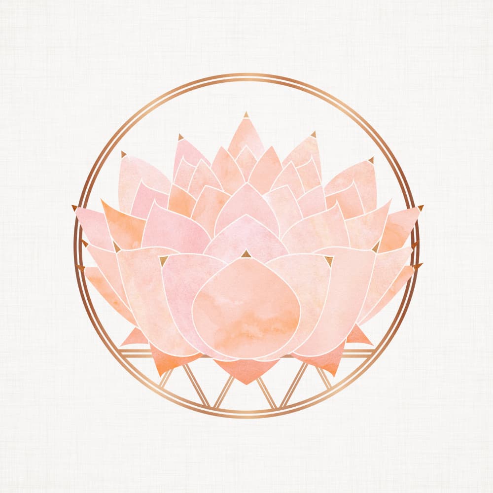 Zen Blush Succulent by Kristian Gallagher — canvas wall art