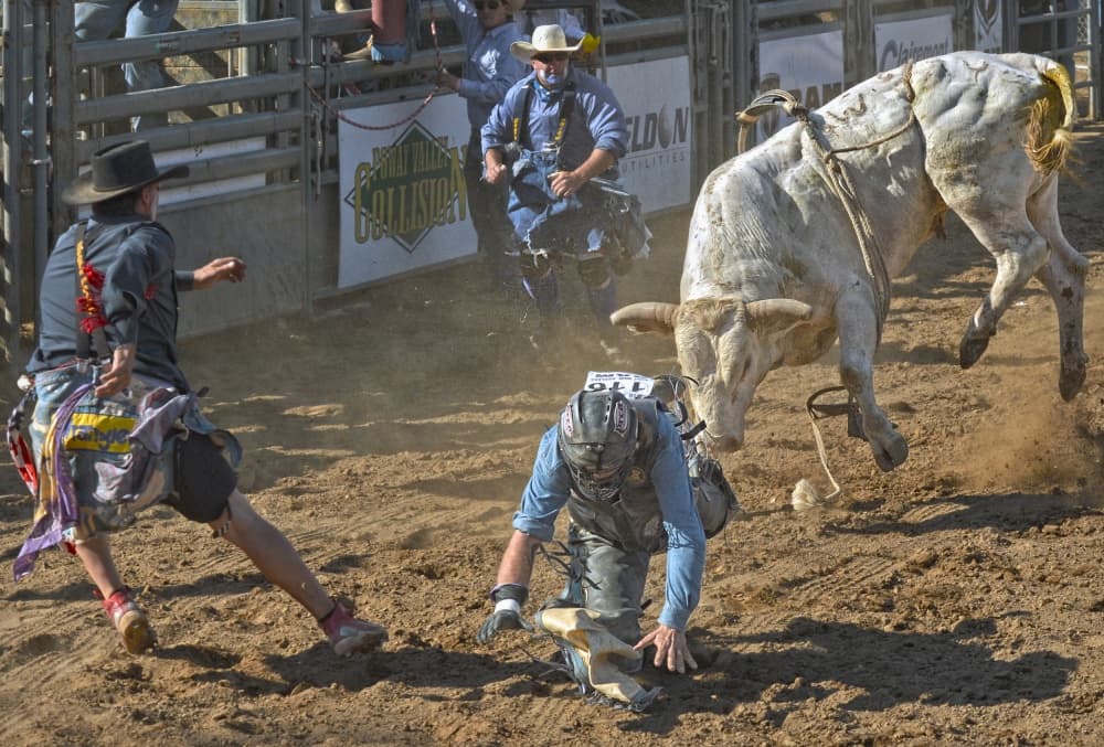 Rodeo Bull Showdown by Kirk Cypel — canvas wall art