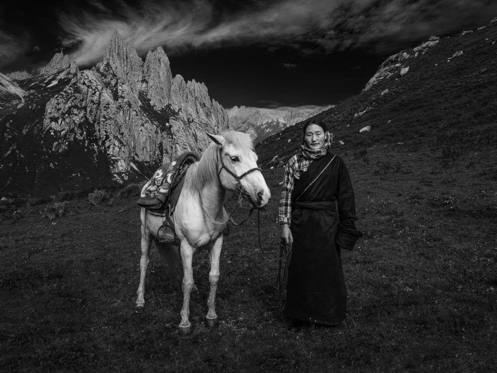 Tibetan Highland Companion by Chao Feng 天馬 — canvas wall art