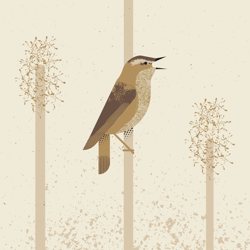 Serene Earthy Songbird by The Creating Mind — canvas wall art