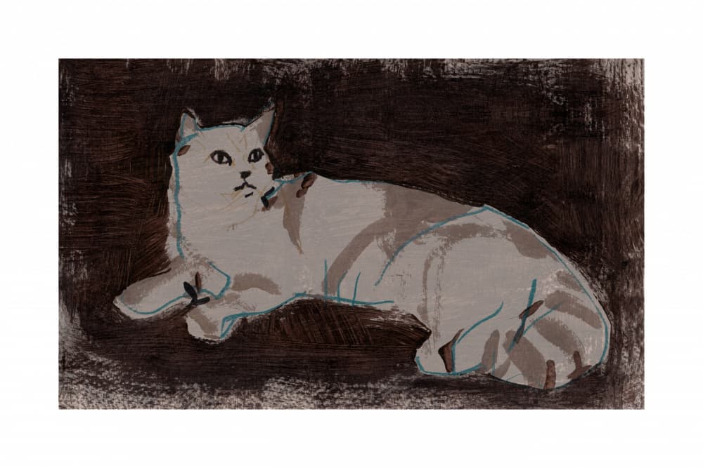 White Cat Resting by cartissi — canvas wall art