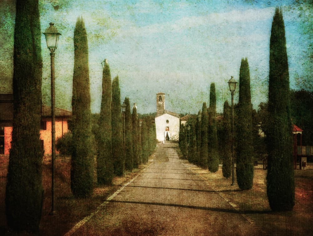 Cypress Lined Church Path by Hans Günther — canvas wall art