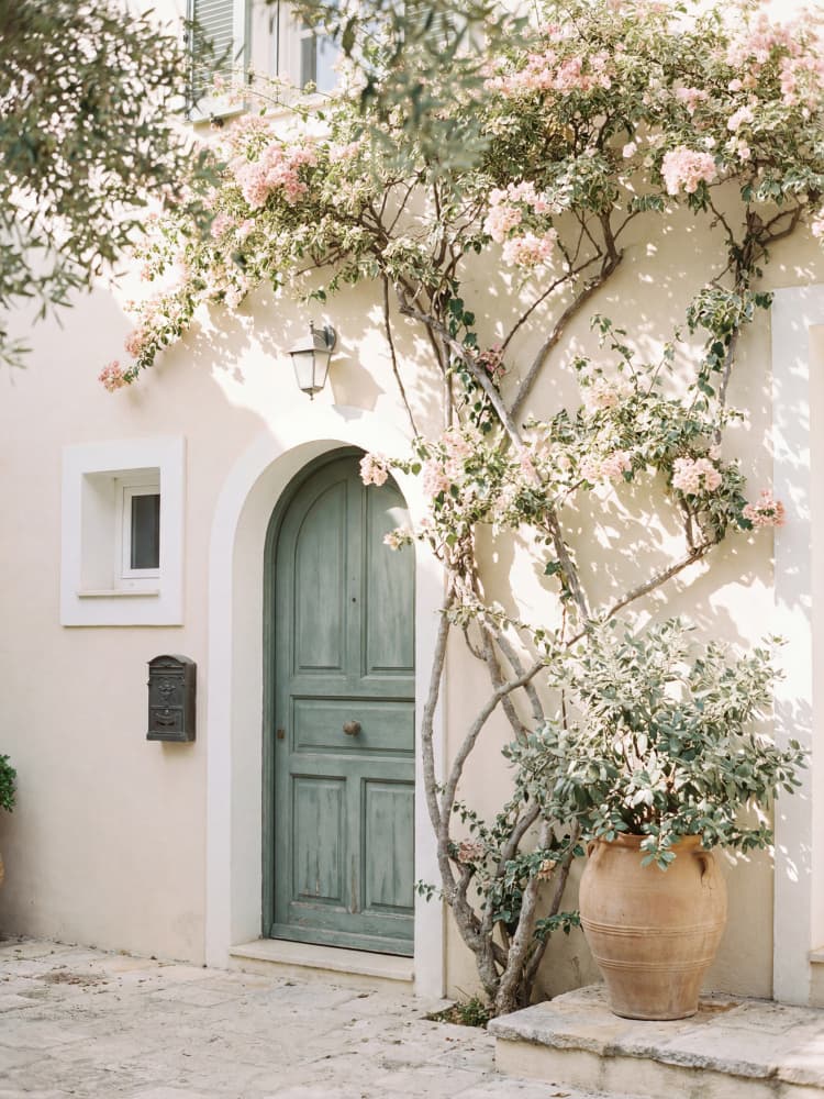 Green Door Bougainvillea Flowers by Andreas Magnusson — canvas wall art