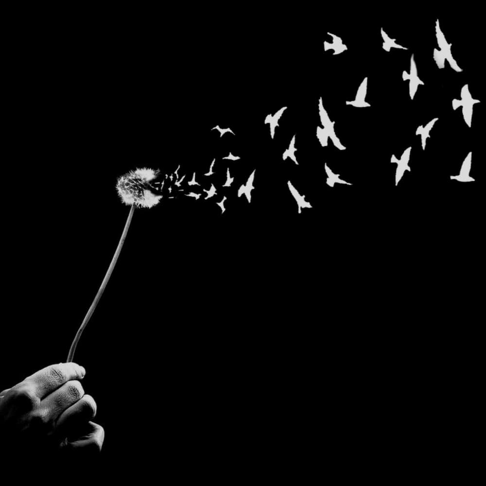 Dandelion Birds Flight by Hadi Malijani (Malenjani) — canvas wall art