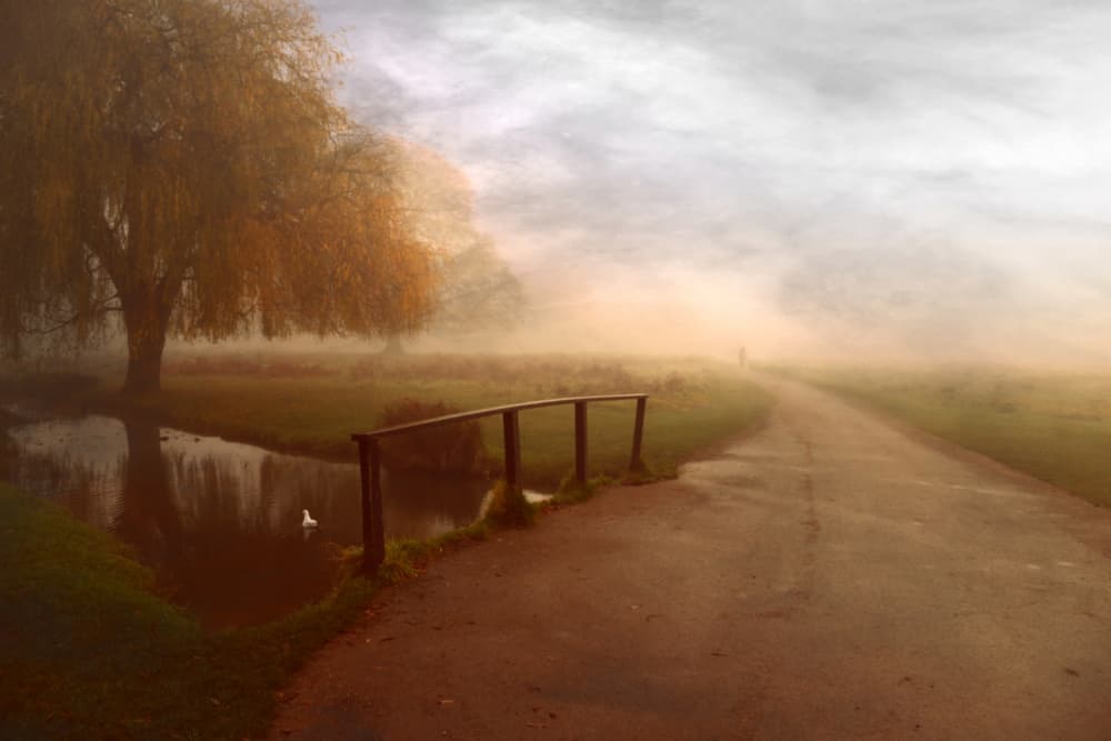 Misty Autumn Path by Robert Fabrowski — canvas wall art
