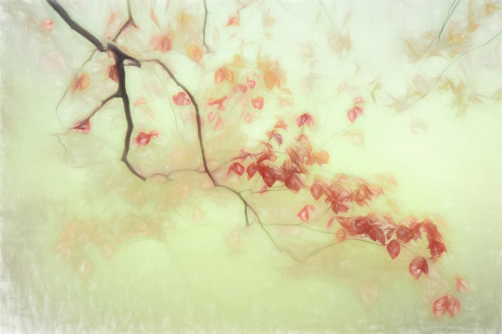 Dreamy Autumn Leaves by Gilbert Claes — canvas wall art