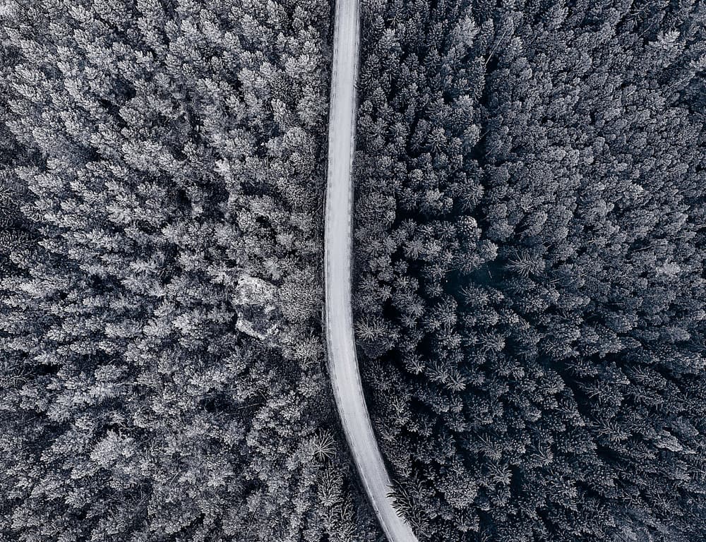 Winding Winter Forest by Christian Lindsten — canvas wall art