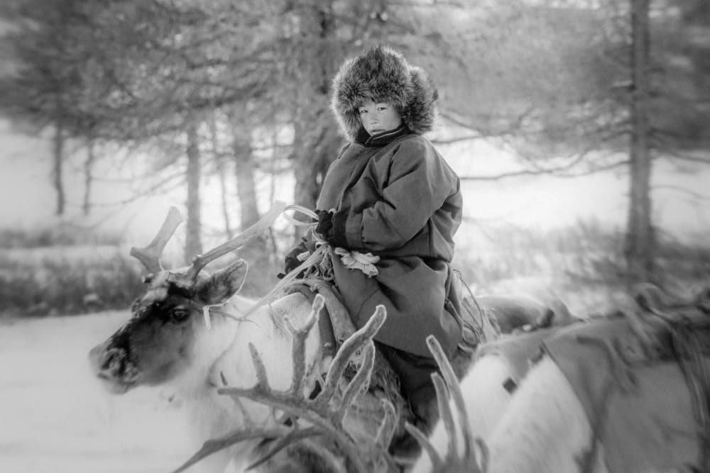 Arctic Child Reindeer Ride by ADIREK M — canvas wall art