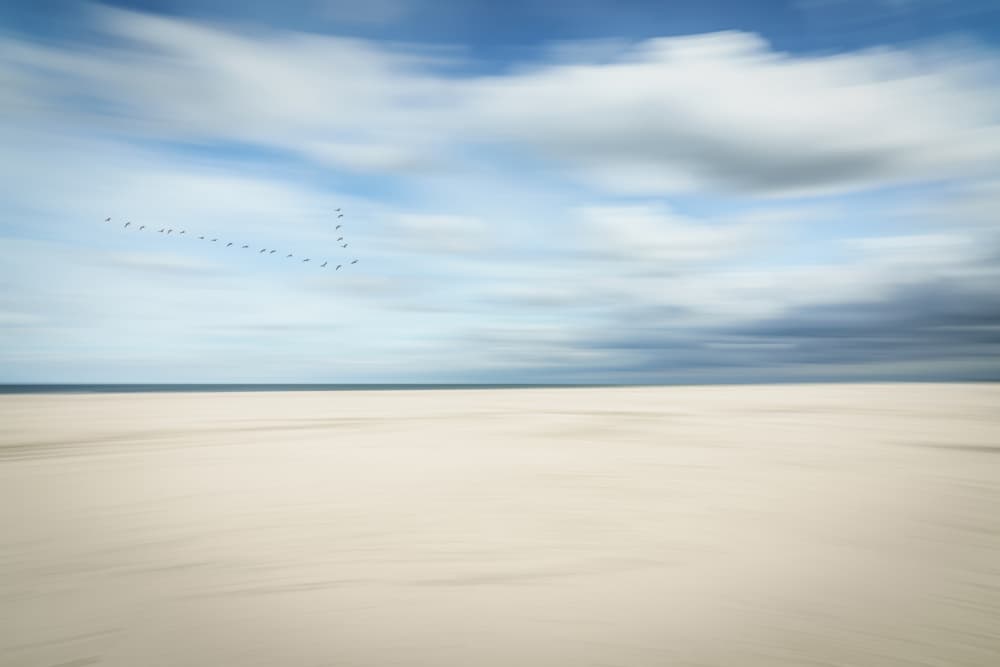 Birds Over Serene Beach by Dieter Reichelt — canvas wall art