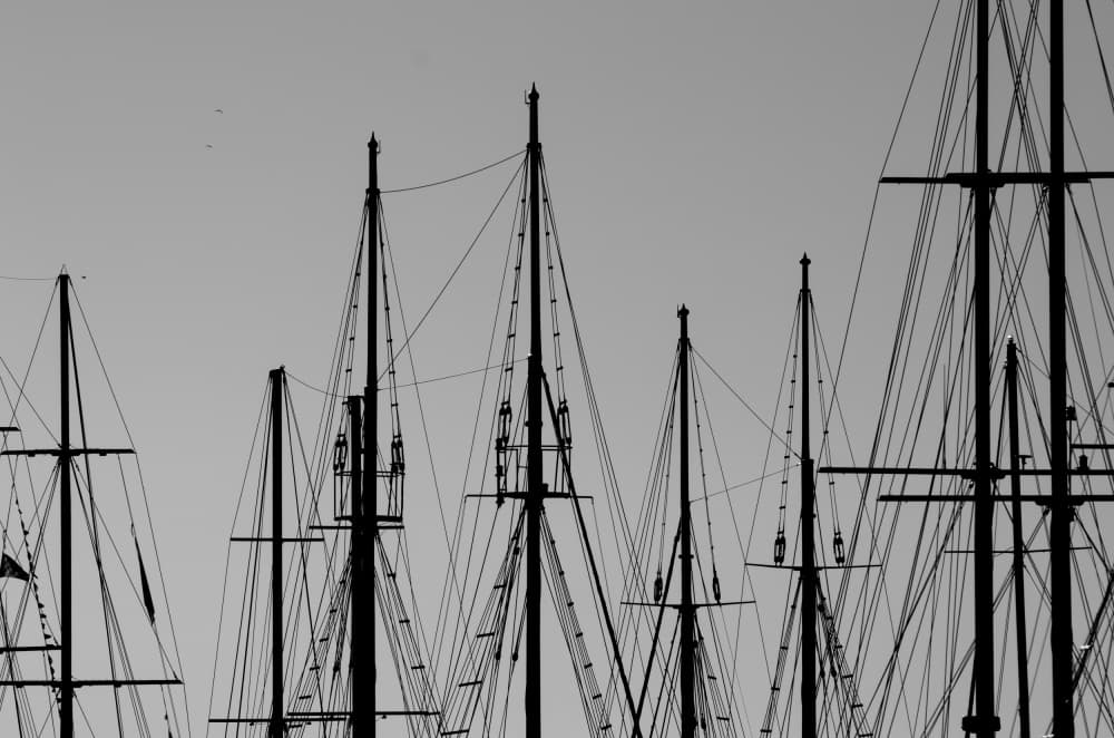 Sailing Masts Silhouette by Dan Edwards — canvas wall art