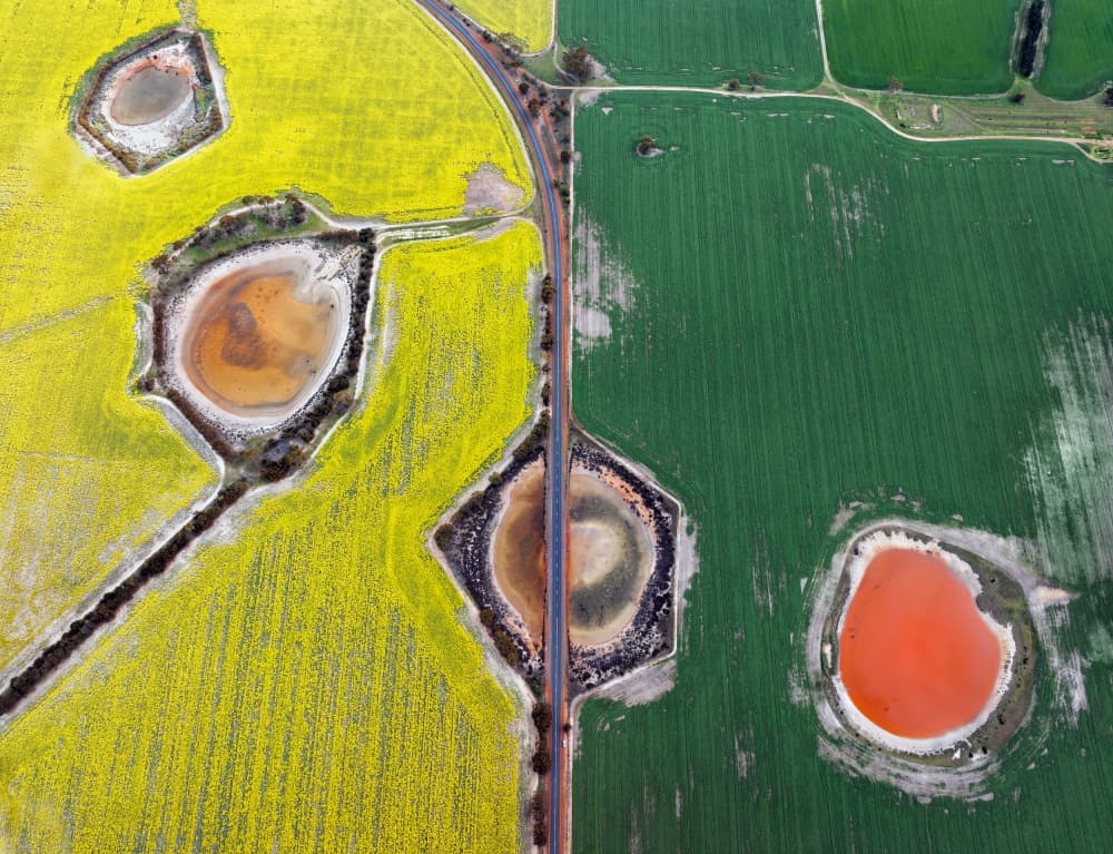 Colorful Aerial Fields by Shenshen Dou — canvas wall art