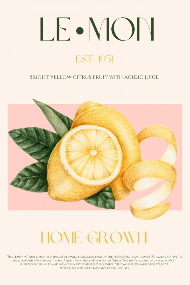 Vintage Style Sliced Lemon With Leaves by Nazma Khokhar — canvas wall art