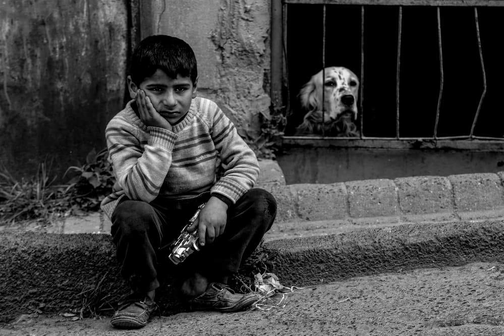 Pensive Boy and Dog by Ummu Nisan Kandilcioglu — canvas wall art