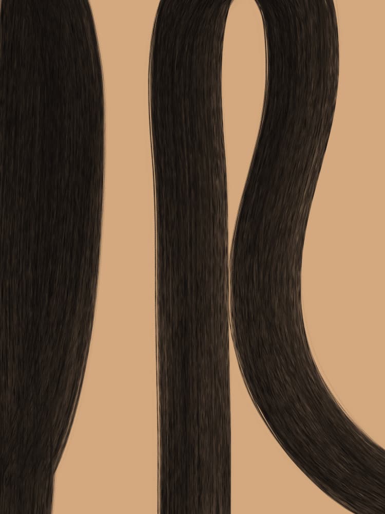 Sleek Dark Brown Hair by Studio Palette — canvas wall art