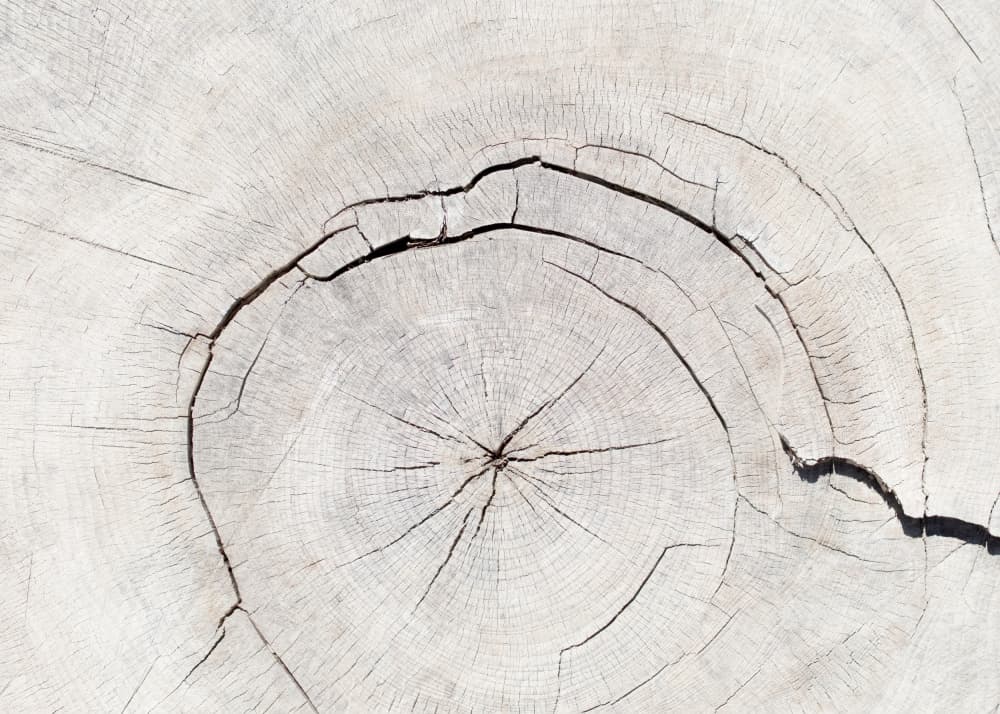 Light Wood Grain Texture by Pictufy Studio III — canvas wall art