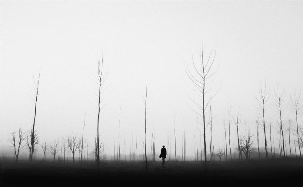 Solitary Walk Foggy Woods by Giorgio Toniolo — canvas wall art