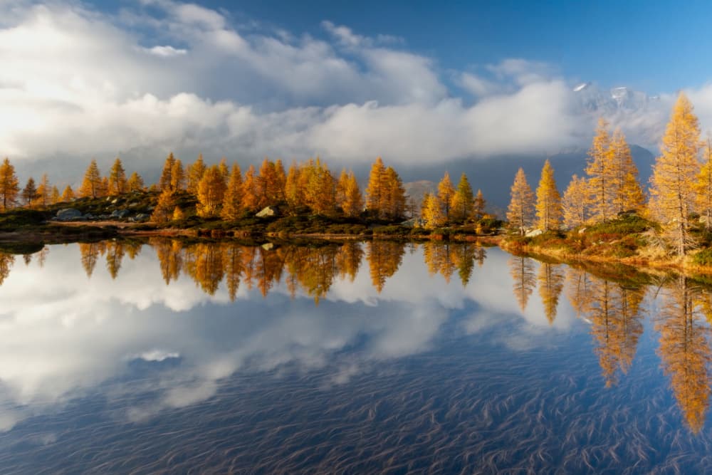 Golden Autumn Lake Reflection by Paolo Stoppani — canvas wall art