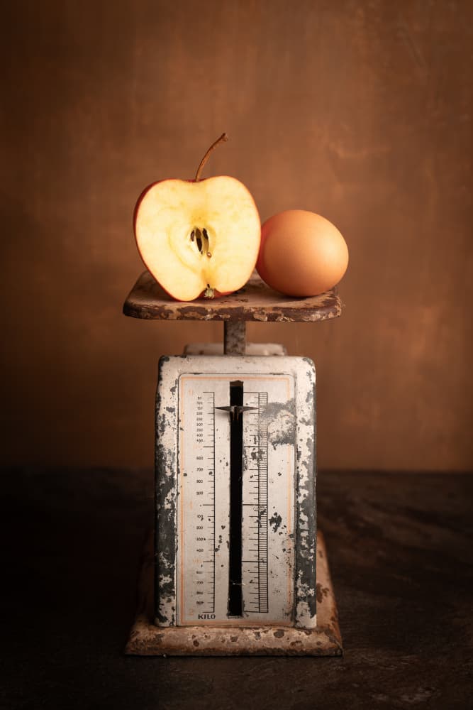 Vintage Scale Apple Egg by Ruth Franke — canvas wall art