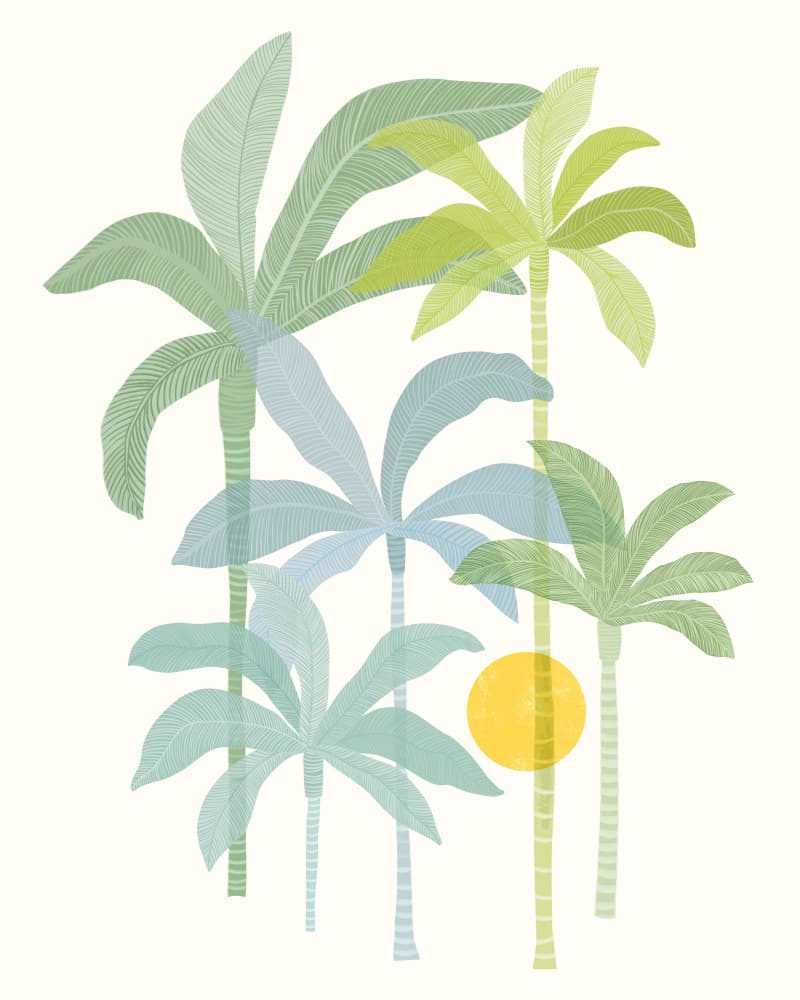 Tropic Sun by Kristian Gallagher — canvas wall art
